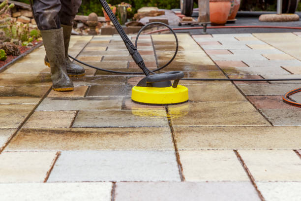 Animal Enclosure Cleaning in Cochran, GA